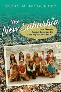 bokomslag The New Suburbia