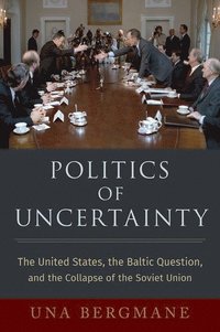 bokomslag Politics of Uncertainty