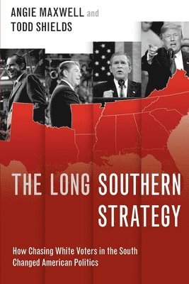 bokomslag Long Southern Strategy