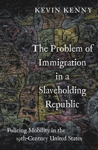bokomslag The Problem of Immigration in a Slaveholding Republic