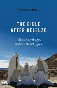 bokomslag The Bible After Deleuze