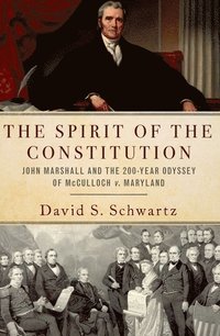 bokomslag The Spirit of the Constitution