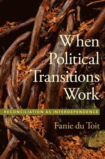 bokomslag When Political Transitions Work