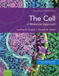 bokomslag The Cell: A Molecular Apoproach