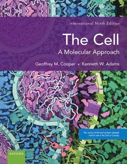 The Cell 1