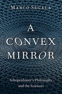 bokomslag A Convex Mirror