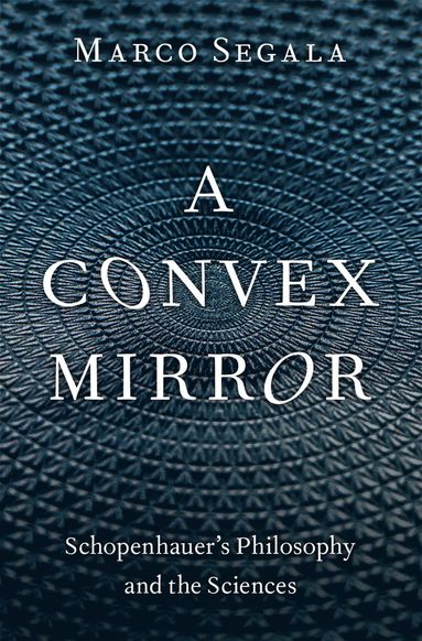 bokomslag A Convex Mirror