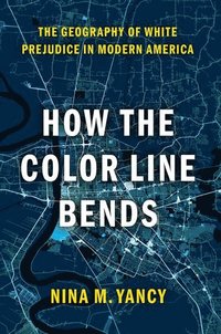 bokomslag How the Color Line Bends
