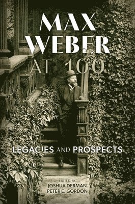 bokomslag Max Weber at 100