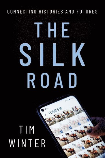 bokomslag The Silk Road