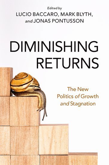 bokomslag Diminishing Returns