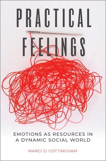 bokomslag Practical Feelings
