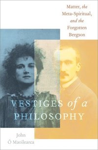 bokomslag Vestiges of a Philosophy