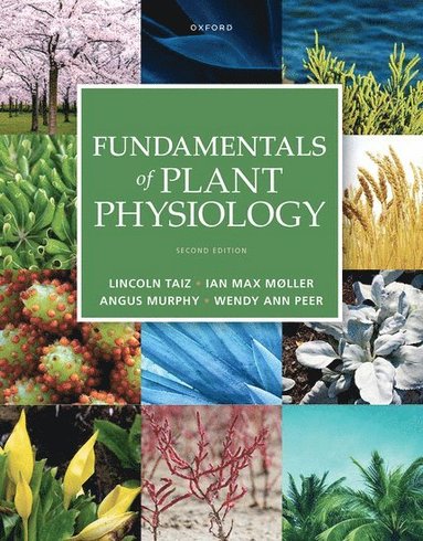 bokomslag Fundamentals of Plant Physiology