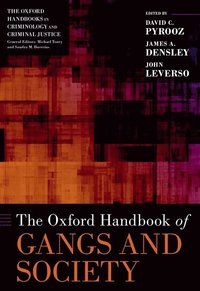 bokomslag The Oxford Handbook of Gangs and Society