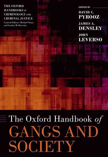 bokomslag The Oxford Handbook of Gangs and Society