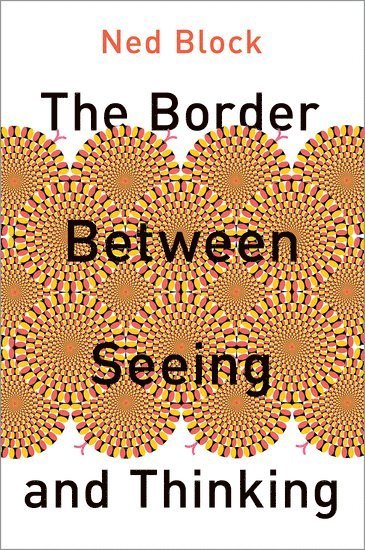 bokomslag The Border Between Seeing and Thinking