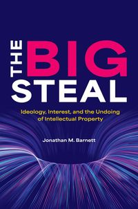 bokomslag Big Steal