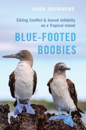 bokomslag Blue-Footed Boobies