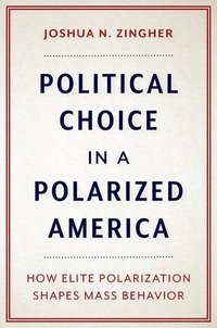 bokomslag Political Choice in a Polarized America