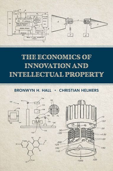 bokomslag Economics of Innovation and Intellectual Property