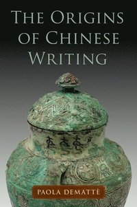 bokomslag The Origins of Chinese Writing