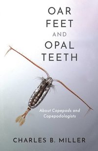 bokomslag Oar Feet and Opal Teeth