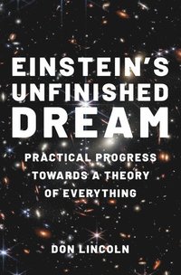 bokomslag Einstein's Unfinished Dream