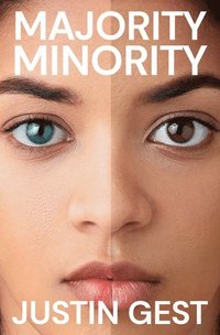bokomslag Majority Minority