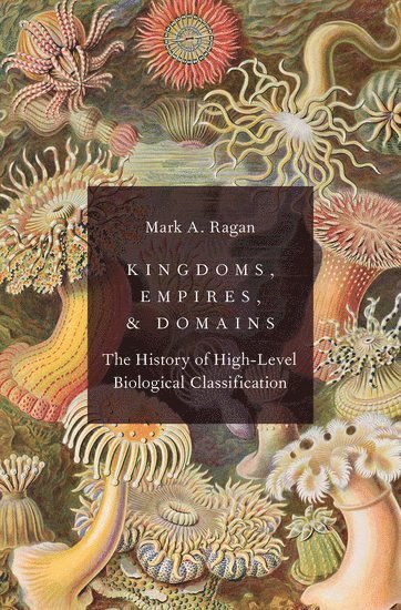 bokomslag Kingdoms, Empires, and Domains