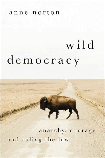 Anne Norton - Wild Democracy, Inbunden