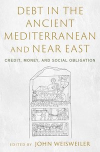 bokomslag Debt in the Ancient Mediterranean and Near East