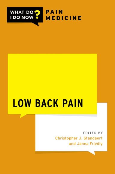 bokomslag Low Back Pain