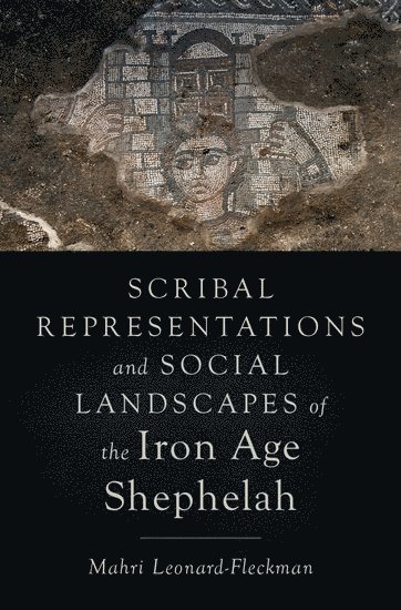 bokomslag Scribal Representations and Social Landscapes of the Iron Age Shephelah