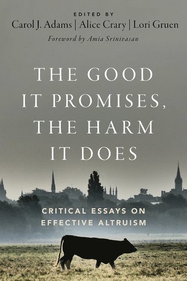 The Good It Promises, the Harm It Does 1