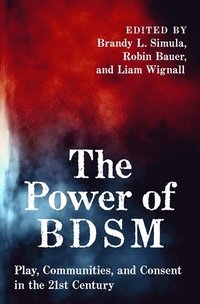bokomslag The Power of BDSM