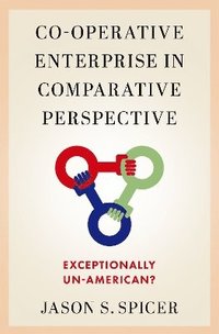 bokomslag Co-operative Enterprise in Comparative Perspective