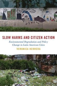 bokomslag Slow Harms and Citizen Action