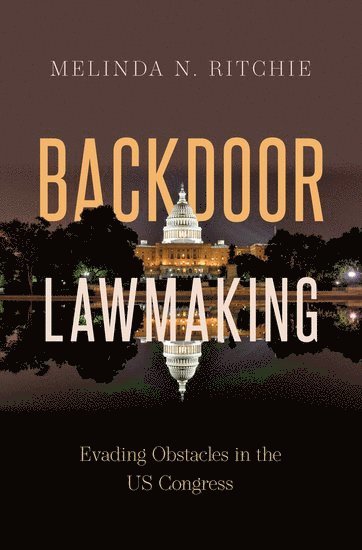 bokomslag Backdoor Lawmaking