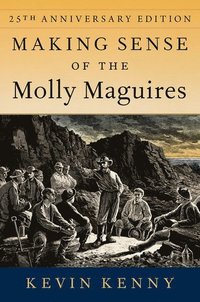 bokomslag Making Sense of the Molly Maguires
