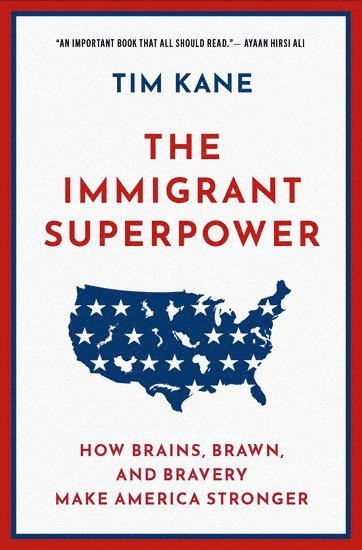bokomslag The Immigrant Superpower