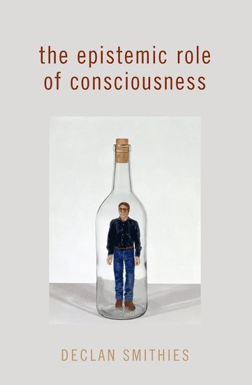 bokomslag The Epistemic Role of Consciousness