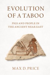 bokomslag Evolution of a Taboo