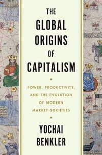 bokomslag The Global Origins of Capitalism