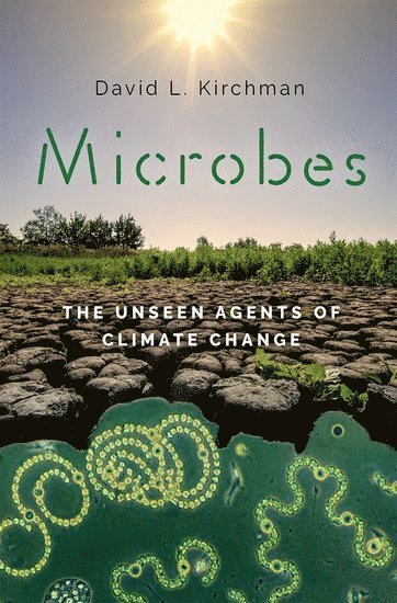 Microbes
