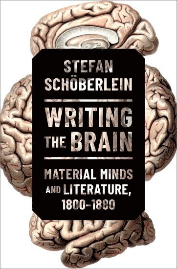 Stefan Schöberlein, Texas A&M University at Central Texas) Schoberlein, Stefan (Assistant Professor of English, Assistant Professor of English - Writing the Brain, Inbunden