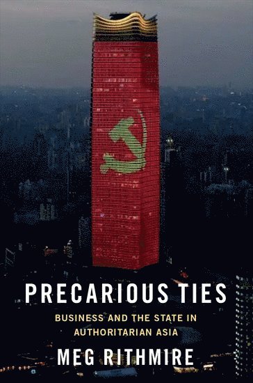 bokomslag Precarious Ties