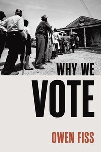 bokomslag Why We Vote
