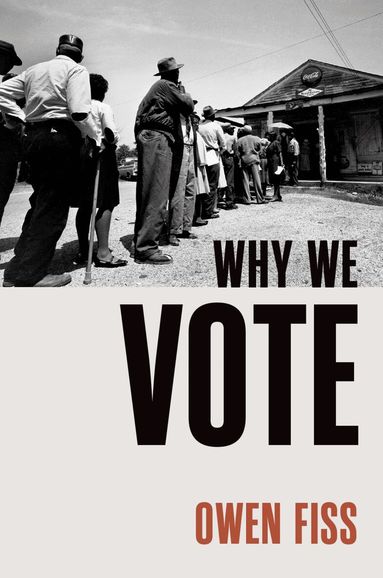 Owen Fiss - Why We Vote, Inbunden