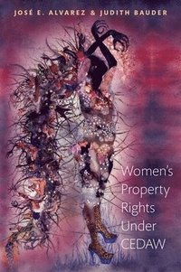 bokomslag Women's Property Rights Under CEDAW